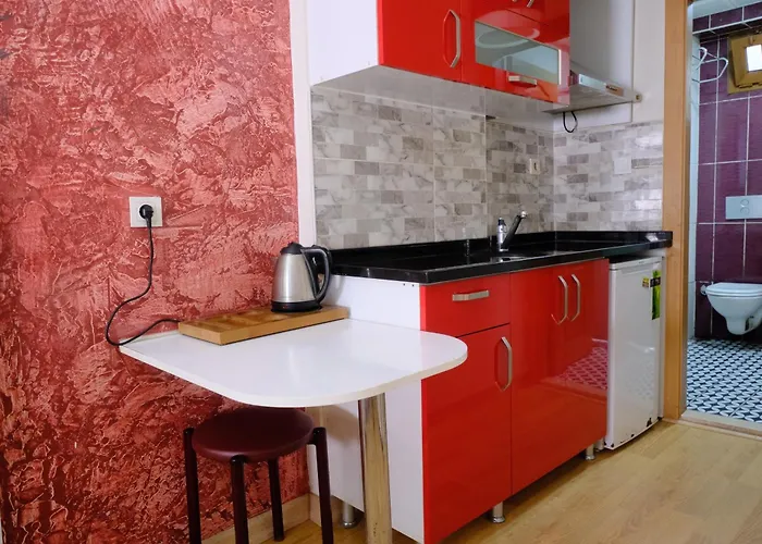 Ottogreensuit 伊斯坦布尔